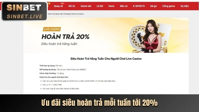 Ưu đãi VIP đặc biệt